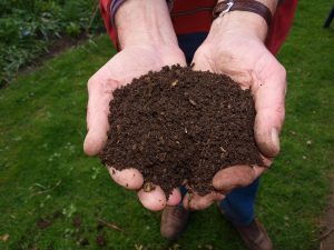 Lire la suite à propos de l’article Create a Compost: How easy is it?