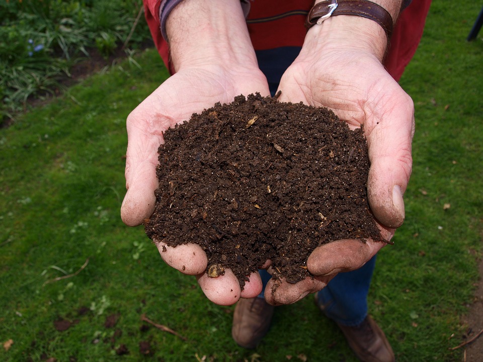 Lire la suite à propos de l’article Create a Compost: How easy is it?