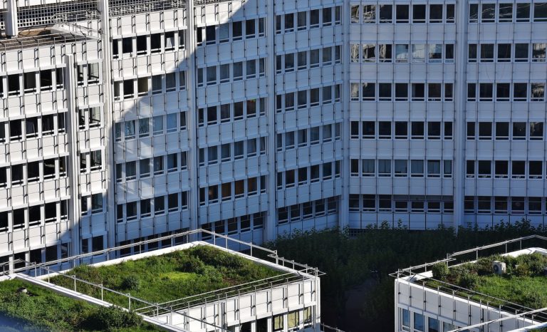 green roofs in urban areas